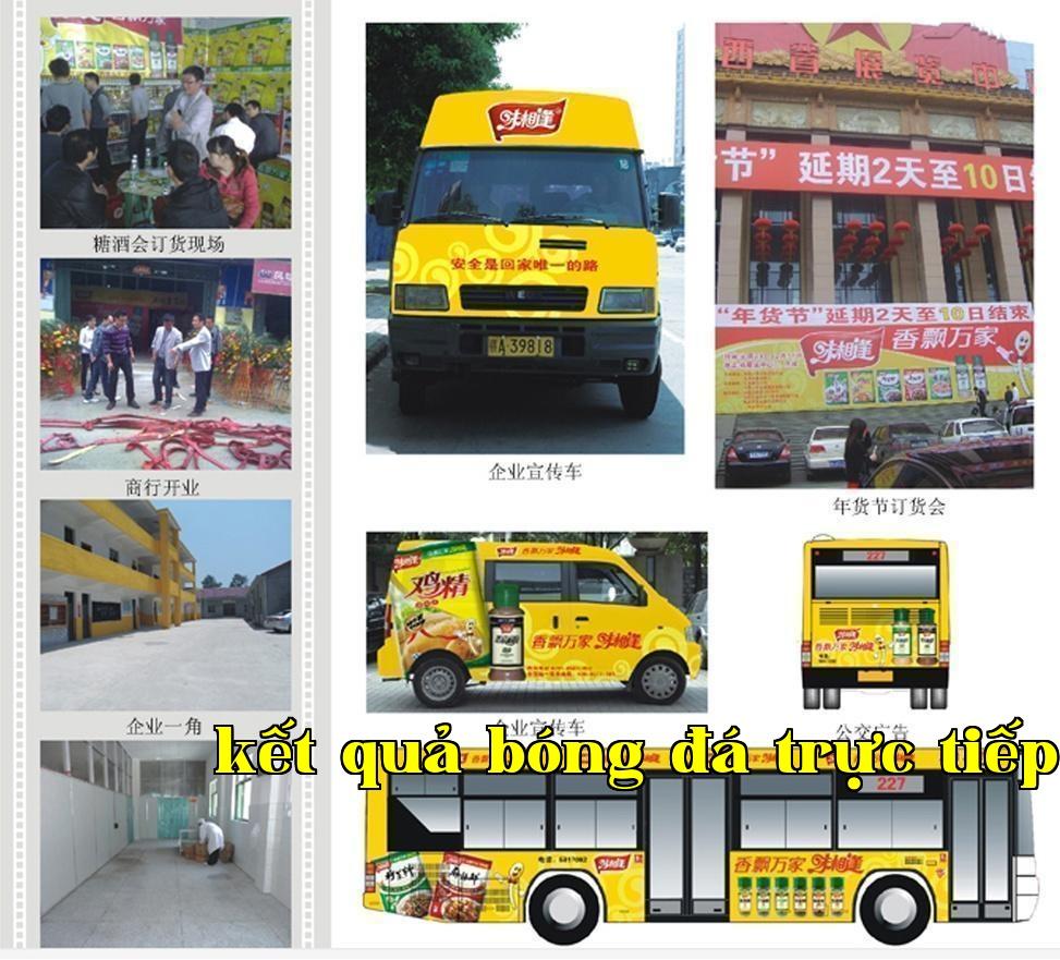 Đây là thông tin mô tả
